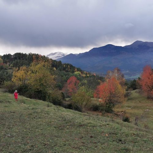 Paisaje