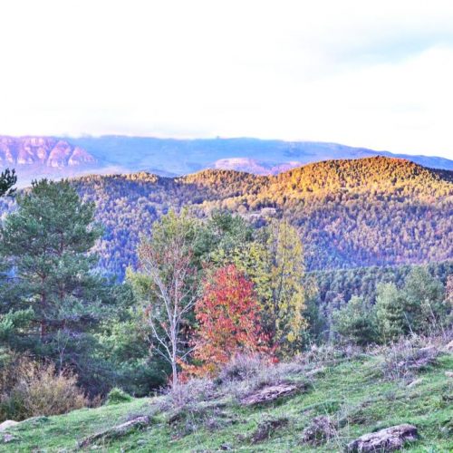 Paisaje