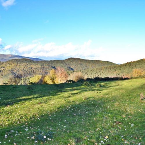 Paisaje