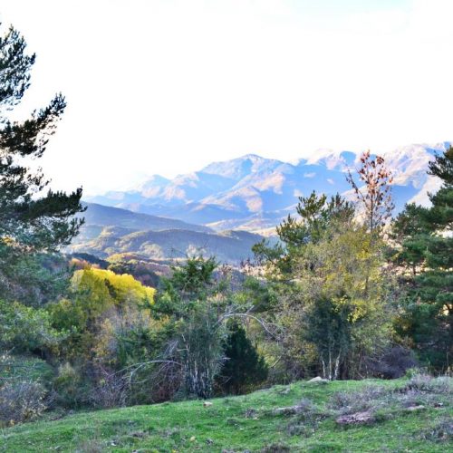 Paisaje