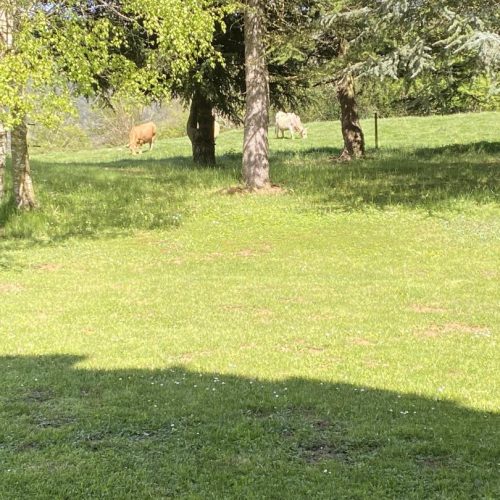Paisaje