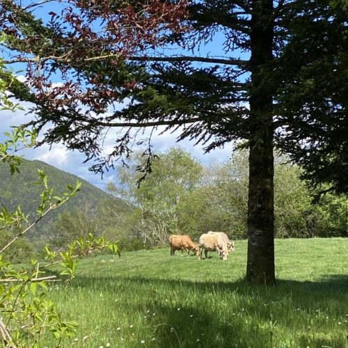 Paisaje