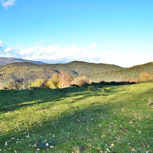 Paisaje