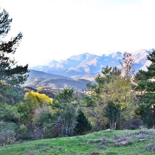 Paisaje