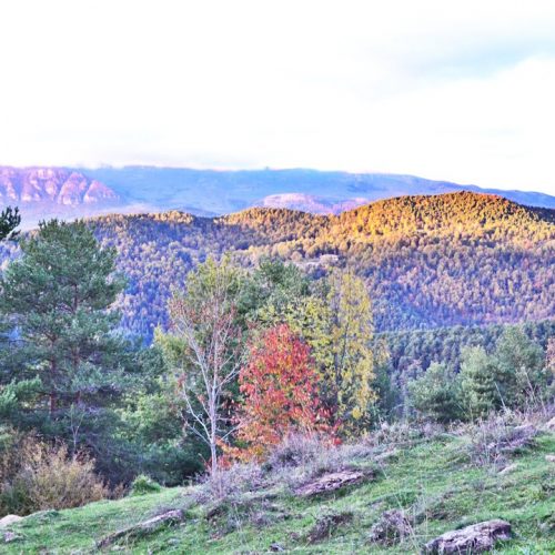 Paisaje